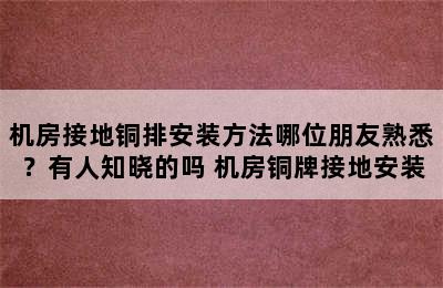 机房接地铜排安装方法哪位朋友熟悉？有人知晓的吗 机房铜牌接地安装